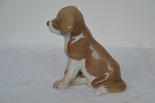 Stupendo cane royal - stupendo,