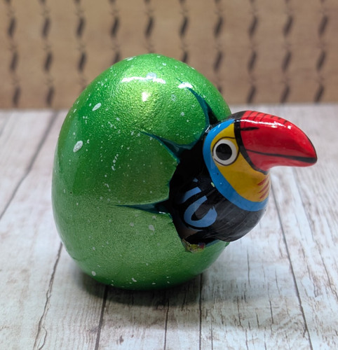 Tonala mexico hatchling baby - tonala,