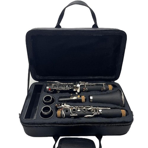 Custodia per clarinetto - , in