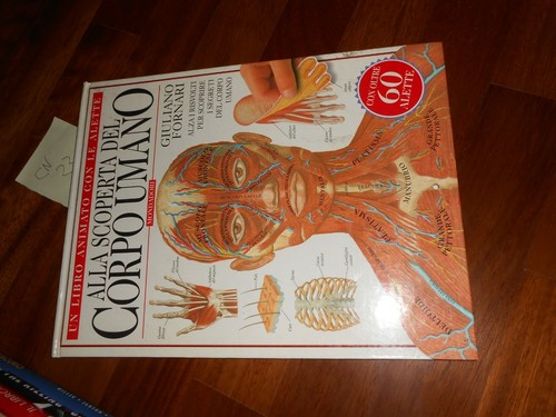 Alla scoperta del - del, corpo
