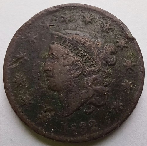 1832 testa coronetta - testa, grande