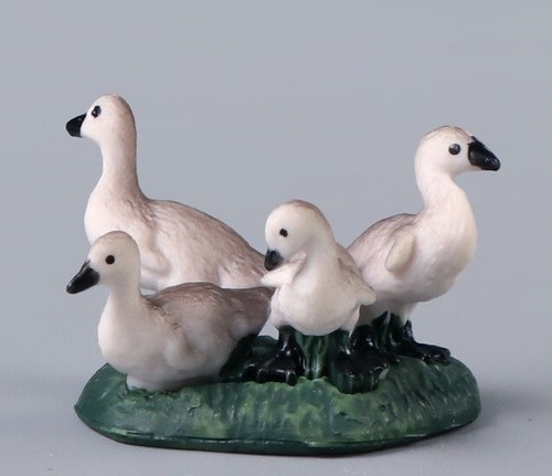 Duck gosling flock animale - duck,