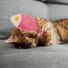 Erba Gatta a Forma di Pesce