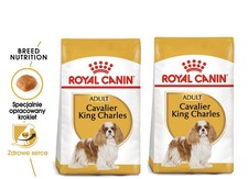 ROYAL CANIN Cavalier King