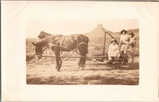 Rppc cavallo calesse - cavallo, rurale