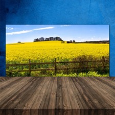 Paraschizzi da Cucina 120x60