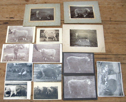 Antique photographs - 14,