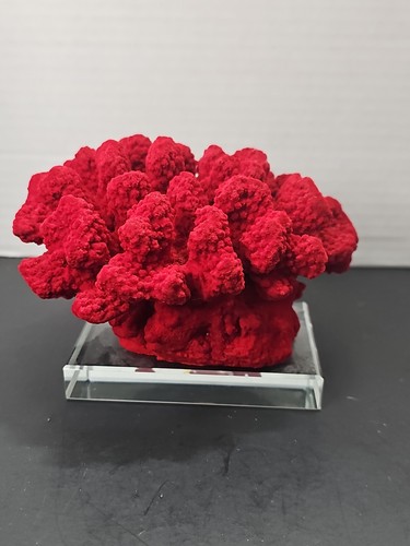 Scultura finta barriera