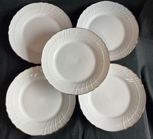 Richard ginori sanremo platino - ginori,