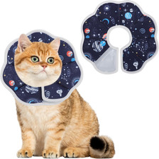 Collare Elisabettiano per