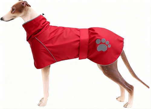 Invernale cappotto - invernale,