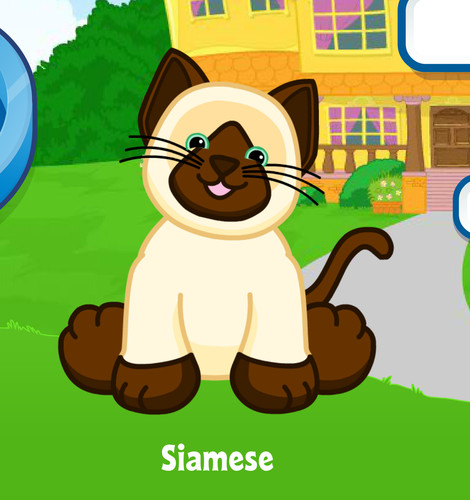 Webkinz siamese virtual - siamese, pet
