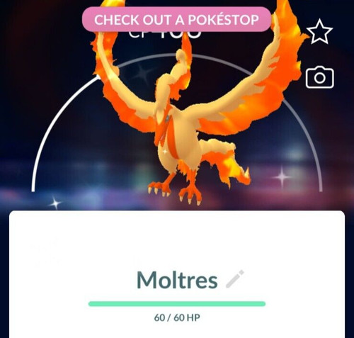 Shiny galarian moltres - ✨, p