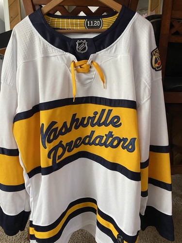 Nashville predators winter - nashville,