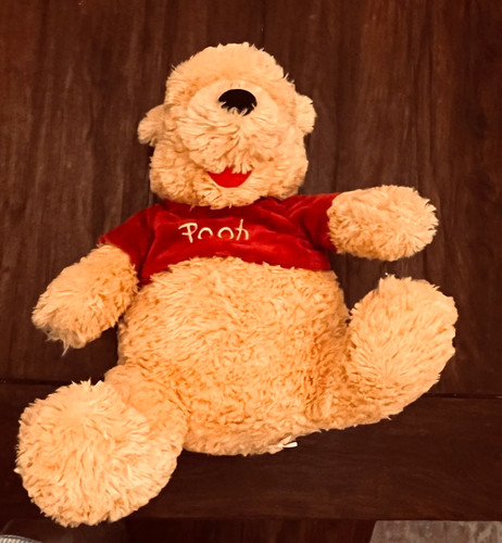 Disney parks winnie the pooh - disney,