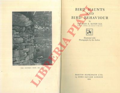 Ornitologia raven bird - ornitologia,