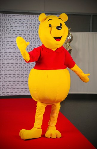 Costume mascotte adulto - , orso