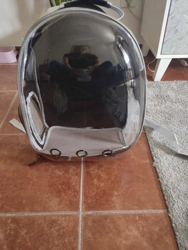 Zaino trasparente per gatti - trasparente,
