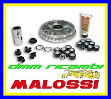 Variatore MALOSSI Multivar