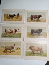 1899 1900 stampa antica - 1899-1900, =