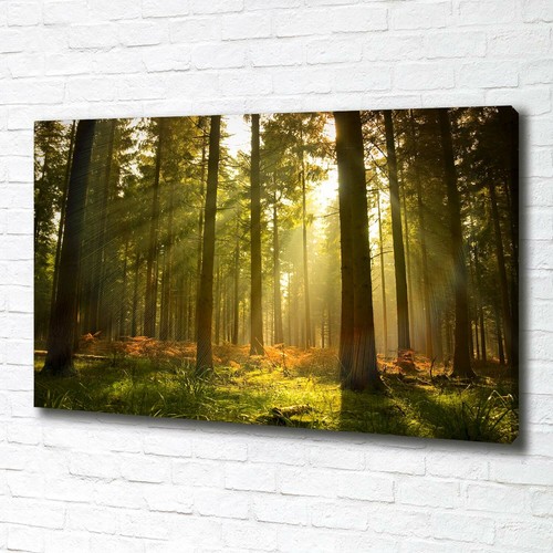 Stampa tela tulup wall art - stampa,