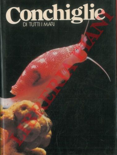 Malacologia conchiglie di - conchiglie,