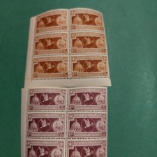 francobolli del regno d'italia