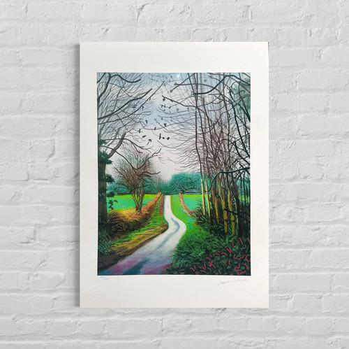 David hockney arrivo - david, in