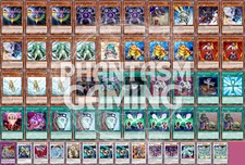 Mazzo Rana Monarca Drago