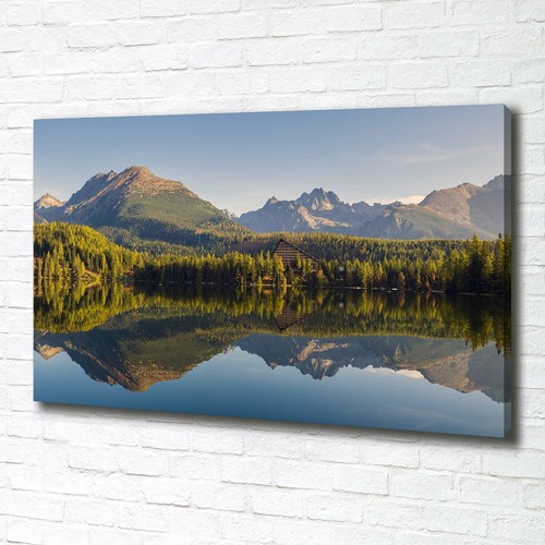 Quadro tela stampa - quadro,