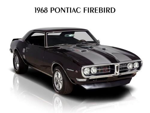 Pontiac firebird hot - firebird, rod