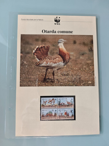 Wwf bolaffi otarda comune - wwf,