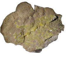 Minerale cristalli zolfo