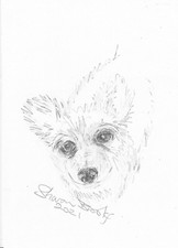 Small Dog Simple Pencil Sketch