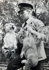 Foto vintage Animali, Leone, Cuccioli di leone, Londra, 1969, stampa 20 x 15 cm