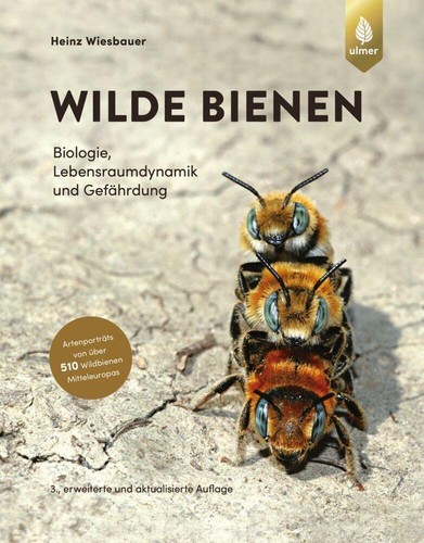 Heinz wiesbauer wilde bienen - wiesbauer,