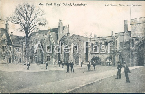 Mint yard king school - mint,