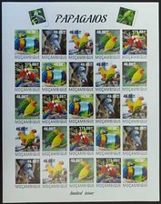 QW100 IMPERF 2014 PAPPAGALLI