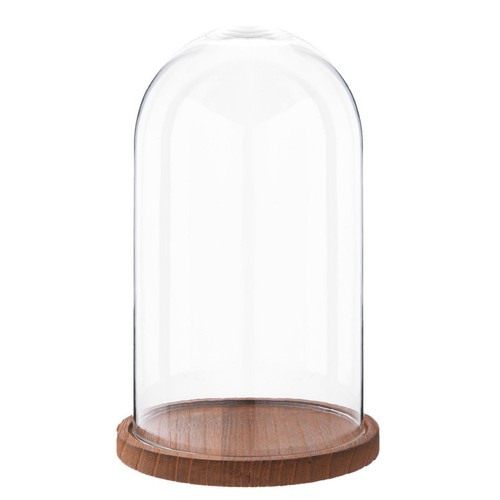 Espositore vetro cloche - vetro,