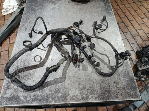 Cablaggio motore seat ibiza - cablaggio,