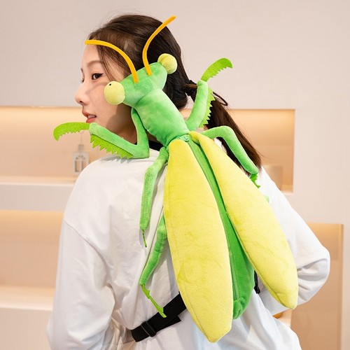 Carino mantide libellula - mantide,