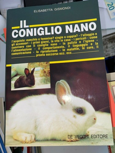 Gismondi coniglio nano - gismondi, il