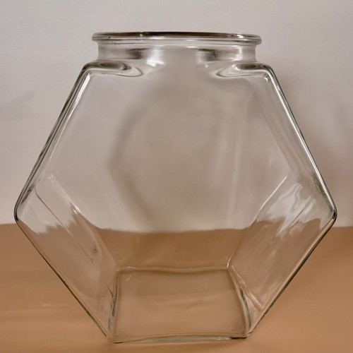 Vaso fioriera ciotola terrario