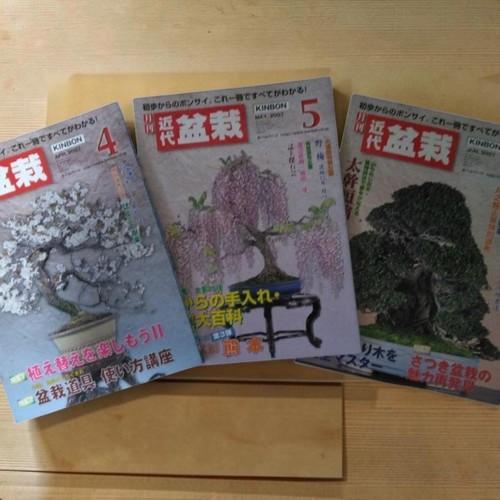 Modern bonsai magazine - bonsai,