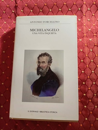 Michelangelo una vita - michelangelo,
