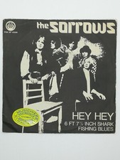 The Sorrows - Hey hey / 6 ft 7 1/2 inch shark fishing blues 7" 45 giri italy '67