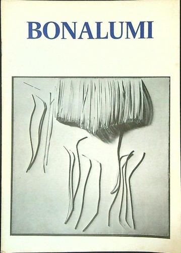Bonalumi 1980 - aa.vv.,