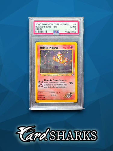 Pokemon 2000 gym heroes - pokemon,