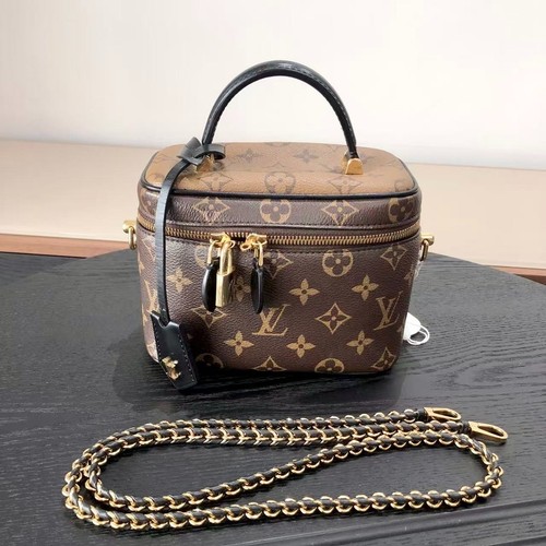 Louis vuitton vanity case - vanity, bag