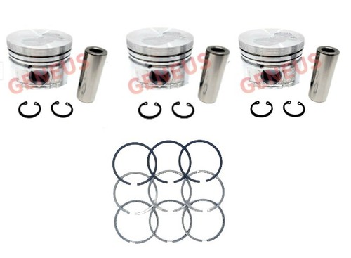 Set pistoni con perno - set,